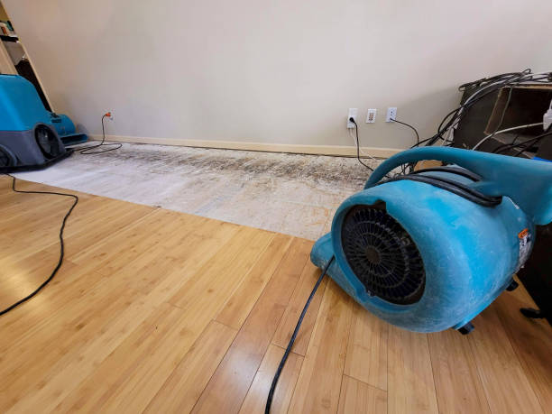 Professional Structural Drying technician working in Pine Mountain, GA